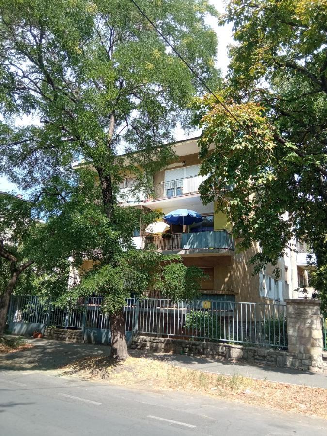 Free Parking, Balcony, Near To City Park Budapest Bagian luar foto